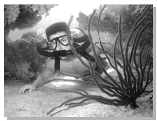 AJ diving the 
Siebe-Gorman Mistral in the Maldives. Steve Warren, 2003
