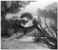 AJ diving with a Siebe Gorman Mistral in 
the Maldives. Steve Warren, 2003.