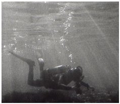 Steve diving with a Medi in Nice, France. Andrew Pugsley, 2002.